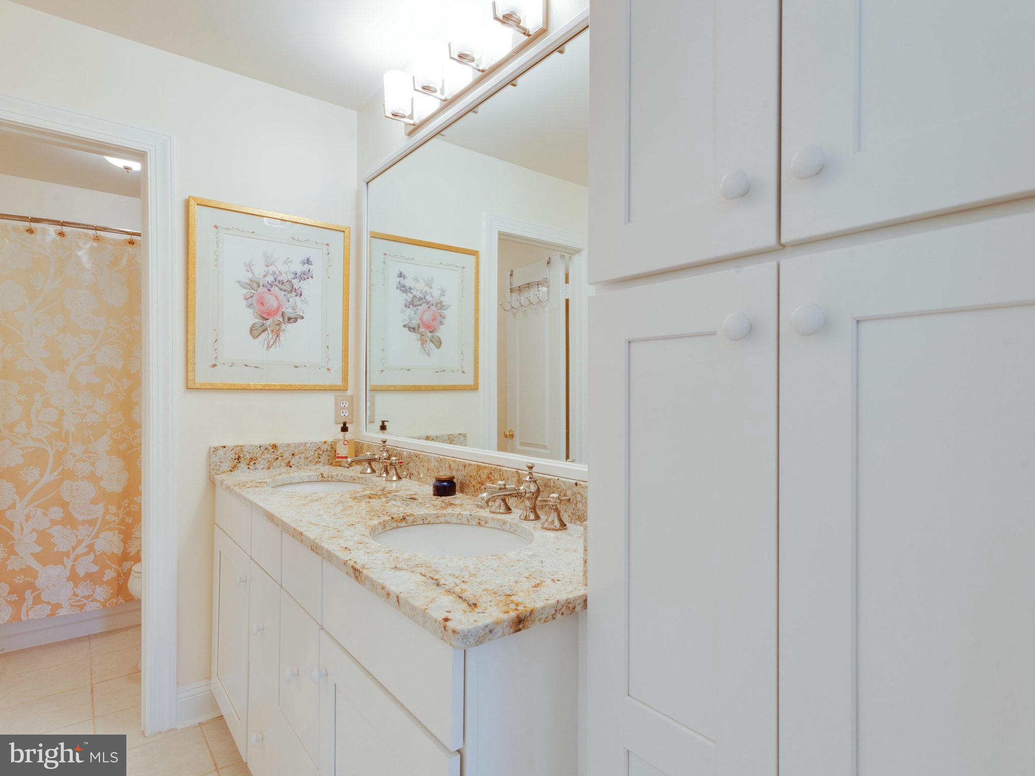 11279 Center Harbor Road Reston, VA 20194 - Photo 20 of 25 Bath