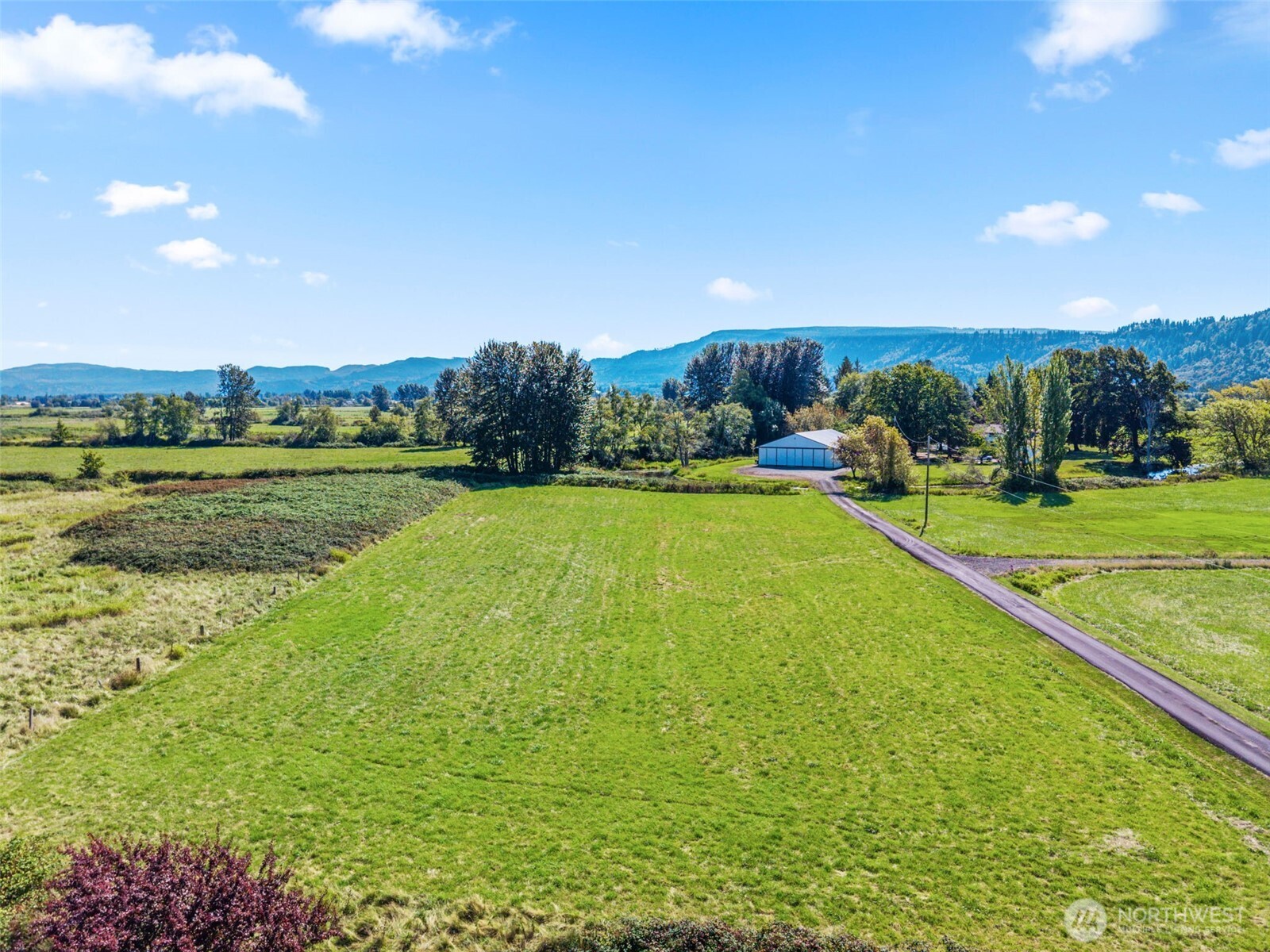 0 Hendrickson Road Cathlamet, WA 98612 - Photo 10 of 17 Gallery Image 10