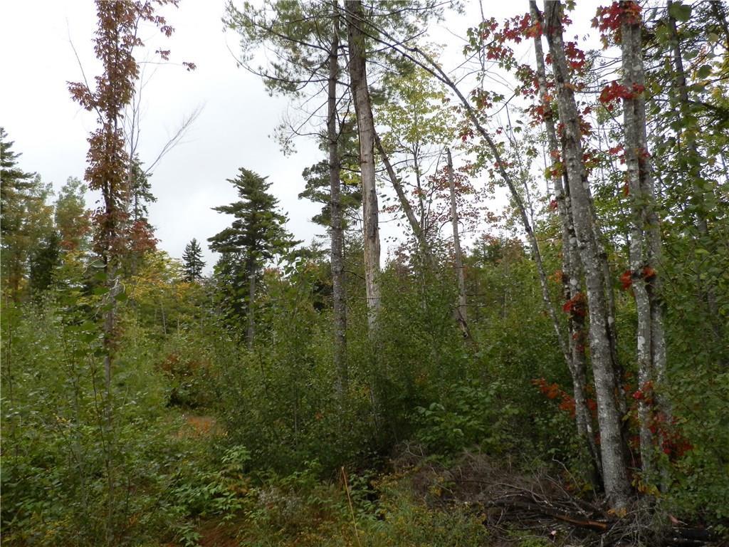 0 Wards Road Ellsworth, ME 04605 - Photo 23 of 29 Photo