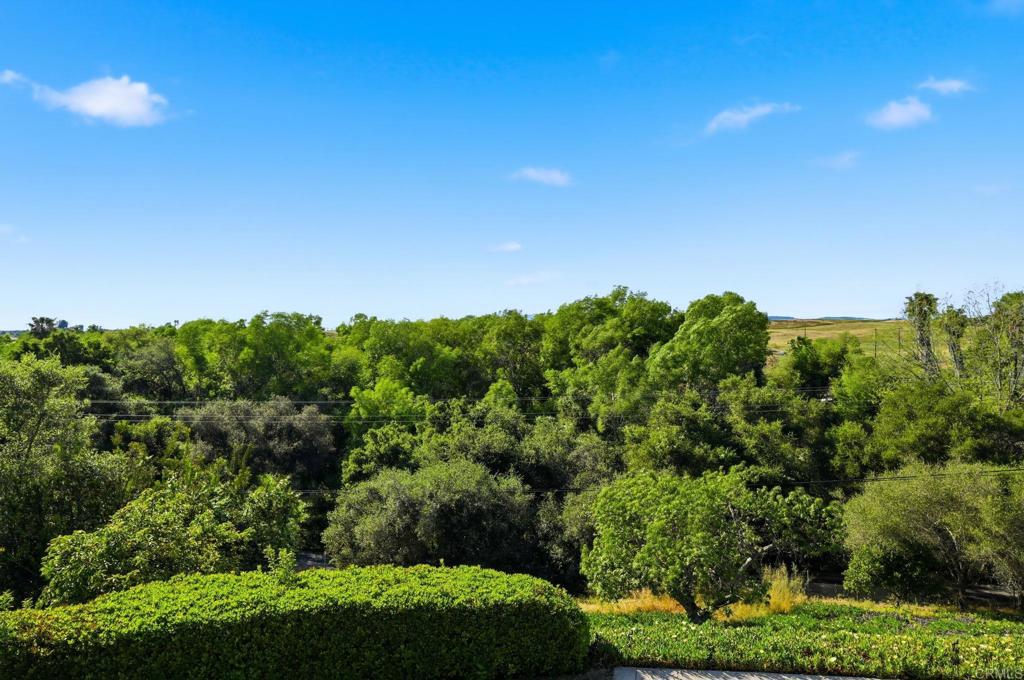 2596 Green Canyon Road Fallbrook, CA 92028 - Photo 36 of 74 a view of a green field