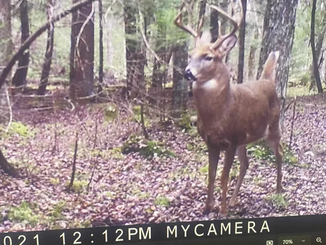 $629,900 | 3597 North Cty Road, Tigerton, WI 54486