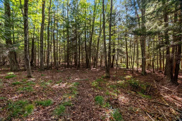 $599,900 | 3597 North Cty Road, Tigerton, WI 54486