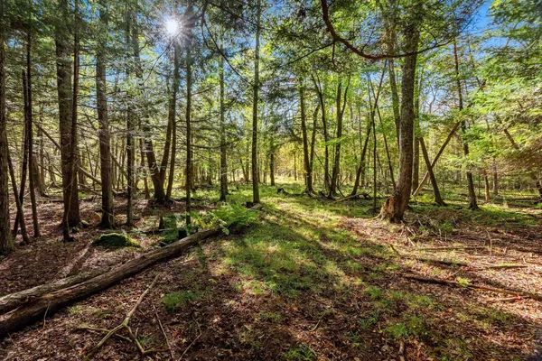 $599,900 | 3597 North Cty Road, Tigerton, WI 54486