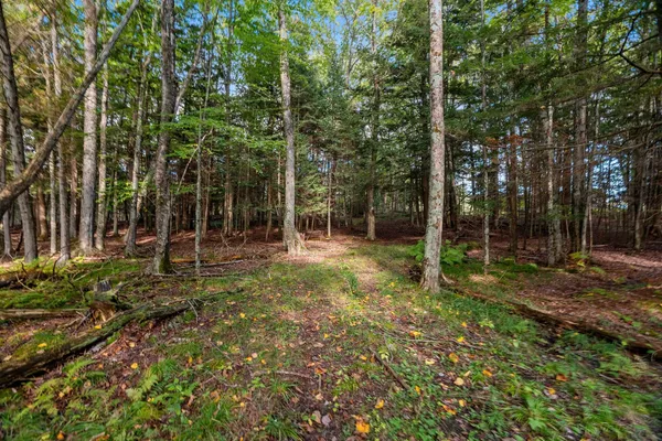 $599,900 | 3597 North Cty Road, Tigerton, WI 54486