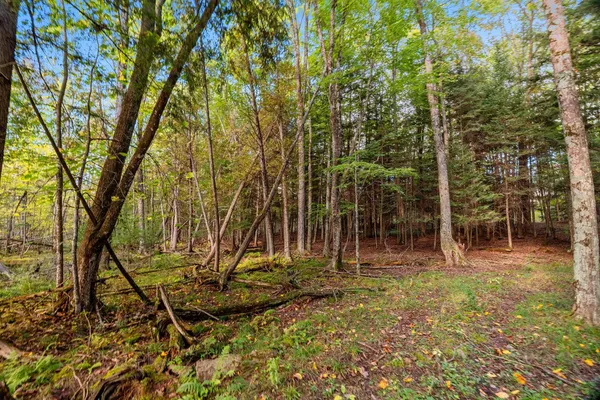 $599,900 | 3597 North Cty Road, Tigerton, WI 54486
