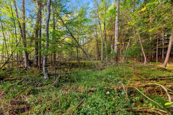 $599,900 | 3597 North Cty Road, Tigerton, WI 54486