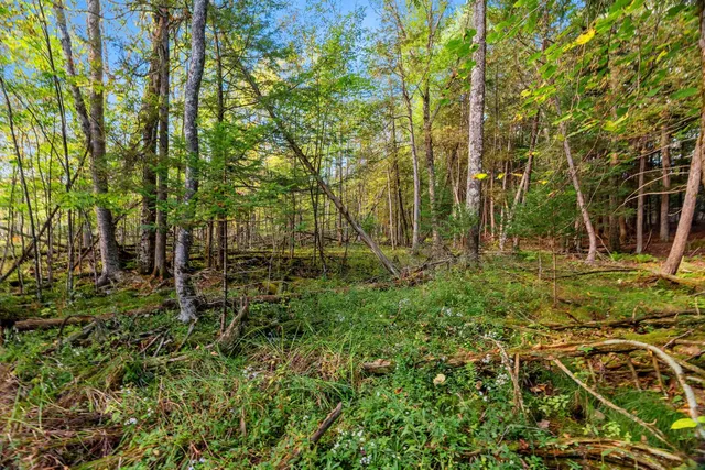 $629,900 | 3597 North Cty Road, Tigerton, WI 54486