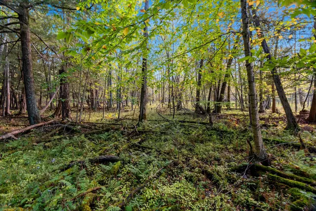 $629,900 | 3597 North Cty Road, Tigerton, WI 54486