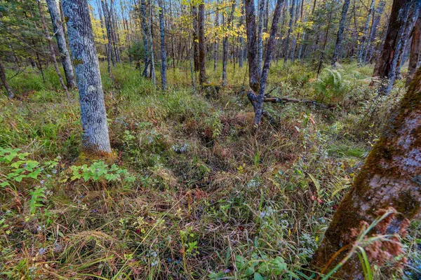 $599,900 | 3597 North Cty Road, Tigerton, WI 54486