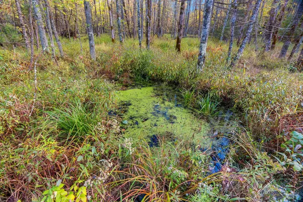 $599,900 | 3597 North Cty Road, Tigerton, WI 54486