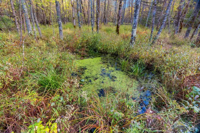 $629,900 | 3597 North Cty Road, Tigerton, WI 54486