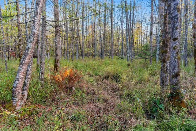 $629,900 | 3597 North Cty Road, Tigerton, WI 54486