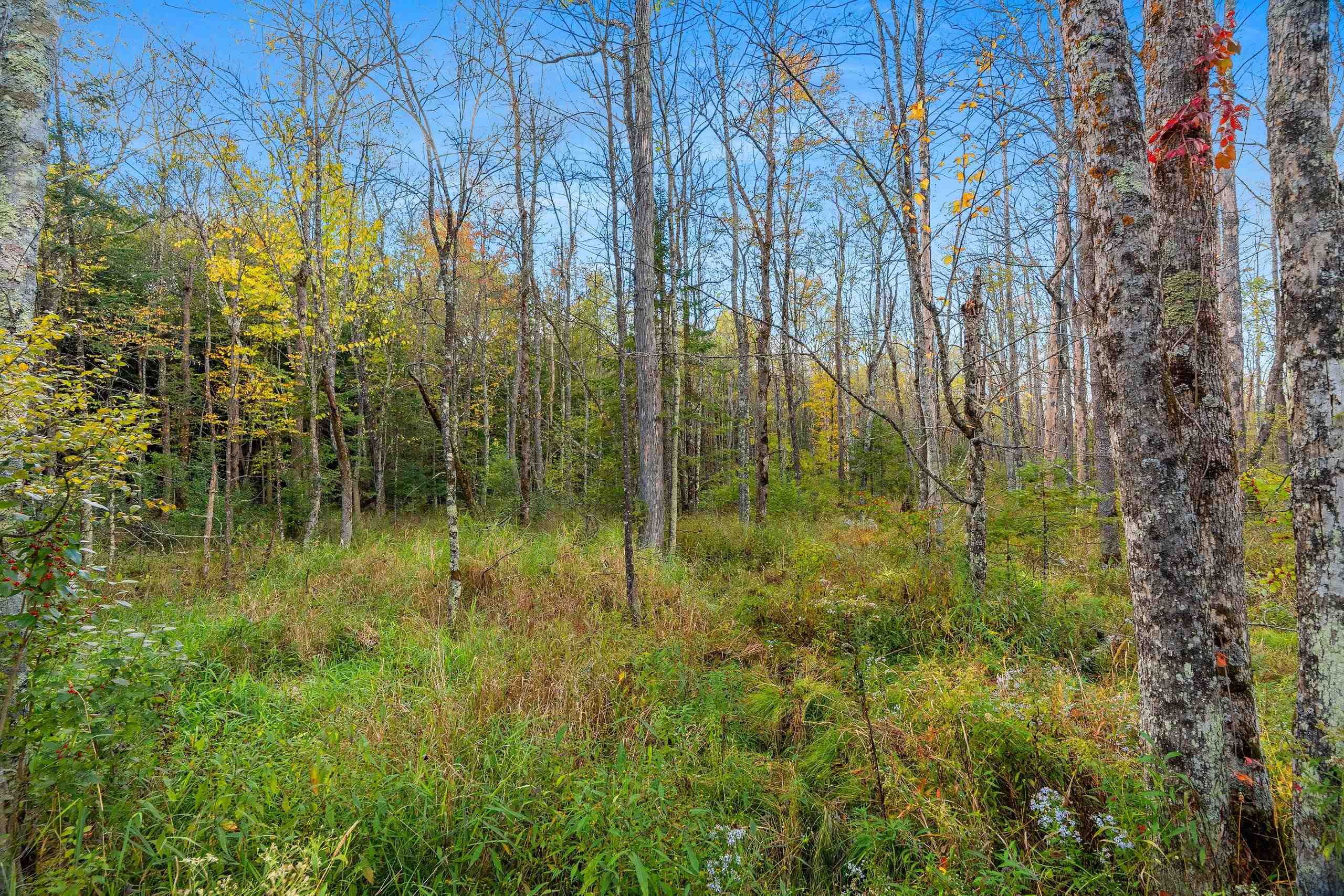 3597 North Cty Road Tigerton, WI 54486 - Photo 63 of 89