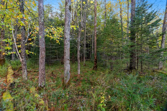 $629,900 | 3597 North Cty Road, Tigerton, WI 54486