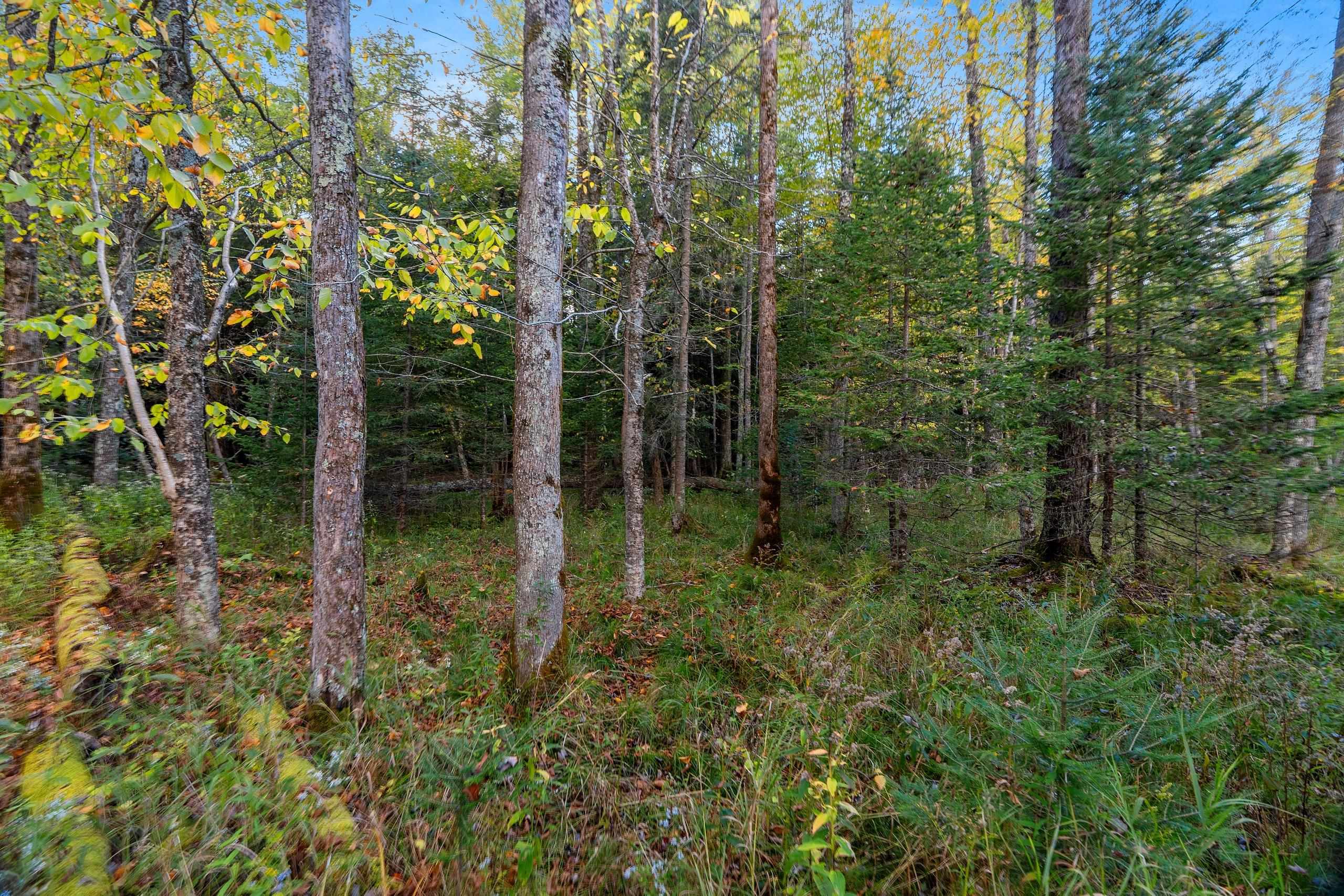 3597 North Cty Road Tigerton, WI 54486 - Photo 64 of 89