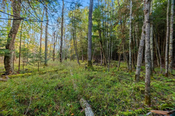 $599,900 | 3597 North Cty Road, Tigerton, WI 54486