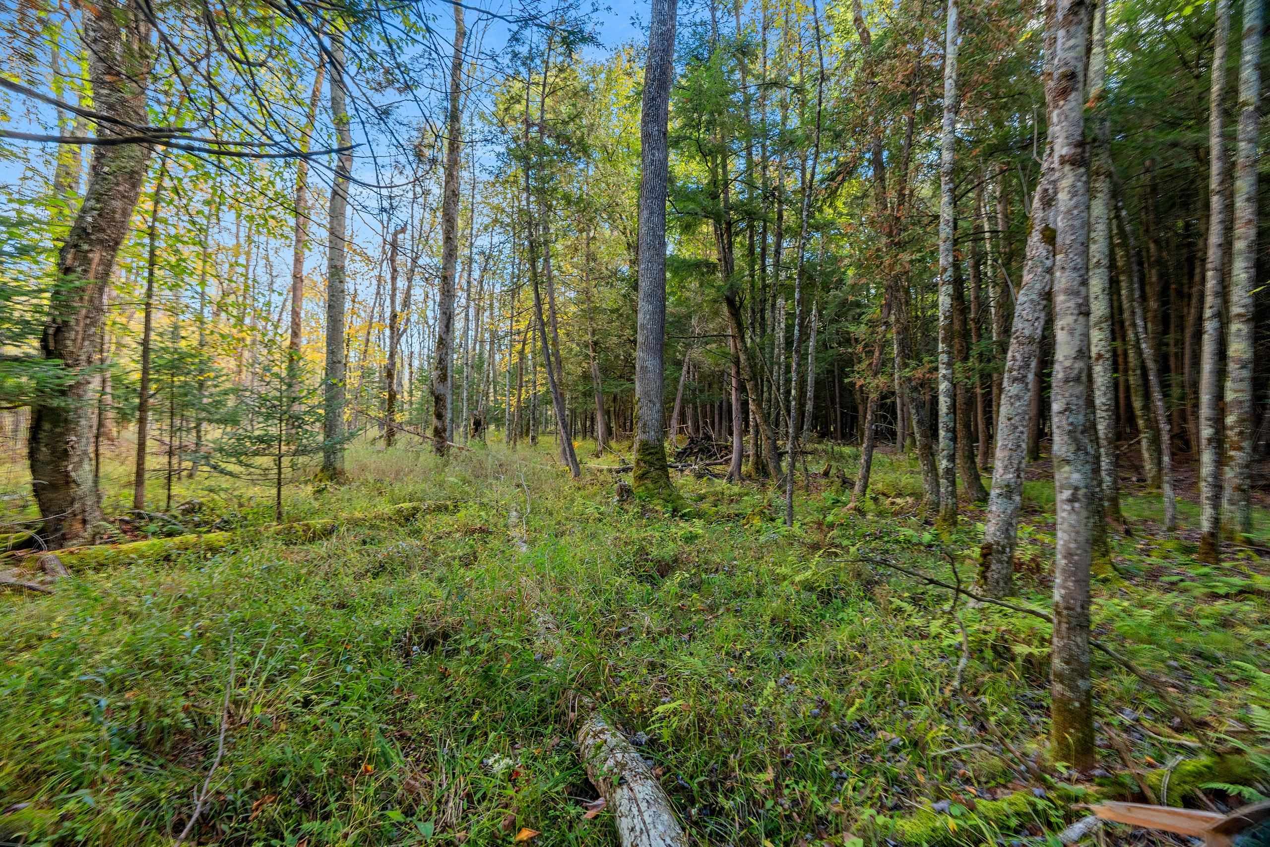 3597 North Cty Road Tigerton, WI 54486 - Photo 65 of 89