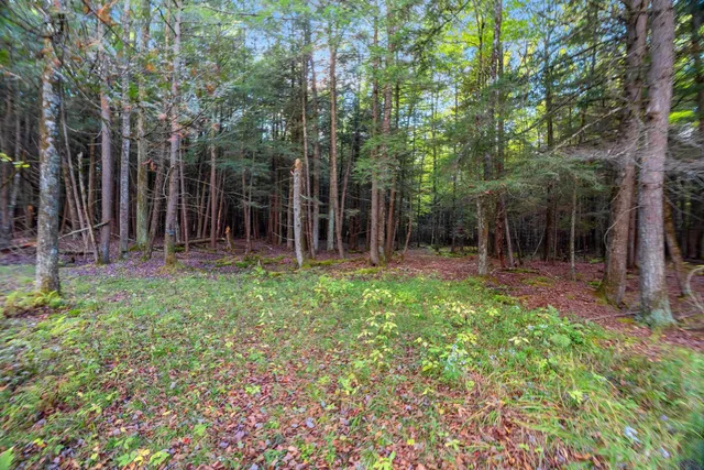 $629,900 | 3597 North Cty Road, Tigerton, WI 54486