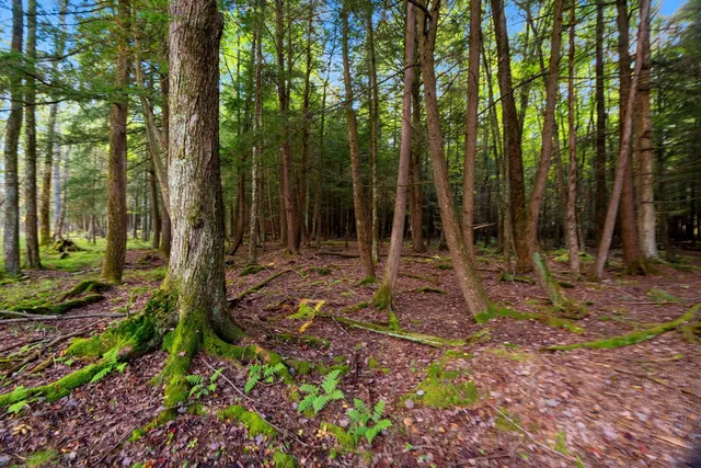 $629,900 | 3597 North Cty Road, Tigerton, WI 54486