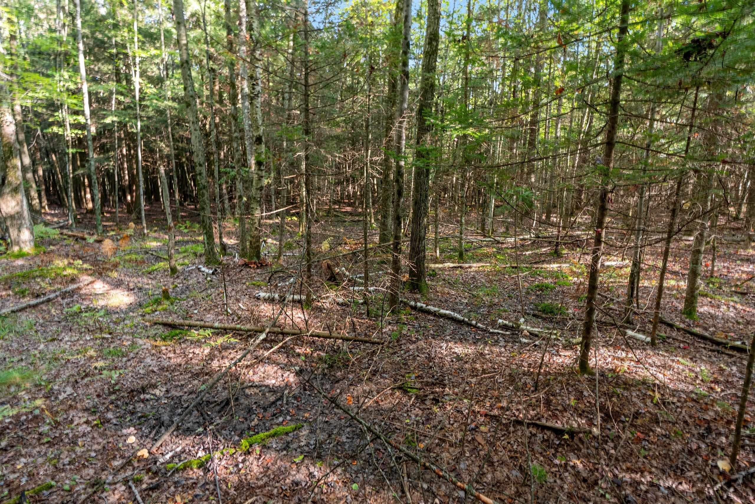 3597 North Cty Road Tigerton, WI 54486 - Photo 68 of 89