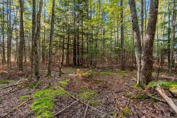 $599,900 | 3597 North Cty Road, Tigerton, WI 54486