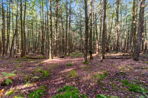 $599,900 | 3597 North Cty Road, Tigerton, WI 54486