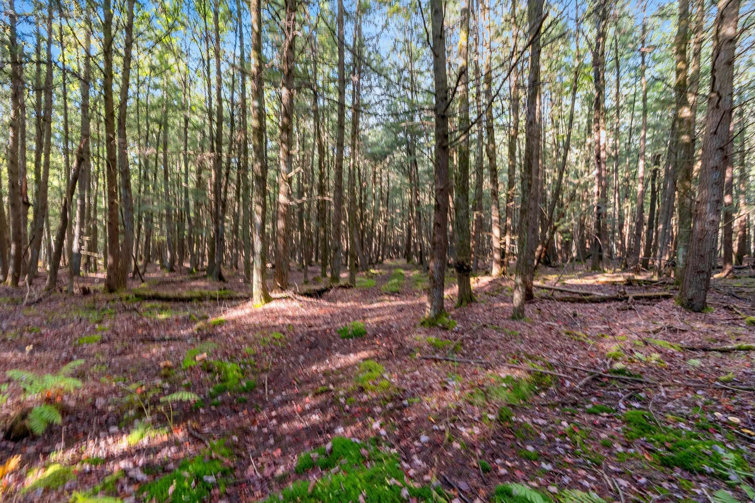 3597 North Cty Road Tigerton, WI 54486 - Photo 73 of 89