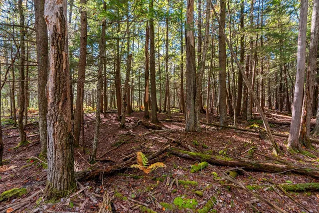 $629,900 | 3597 North Cty Road, Tigerton, WI 54486