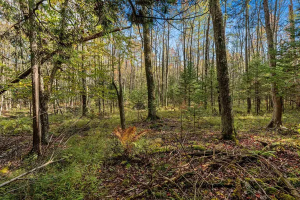 $599,900 | 3597 North Cty Road, Tigerton, WI 54486