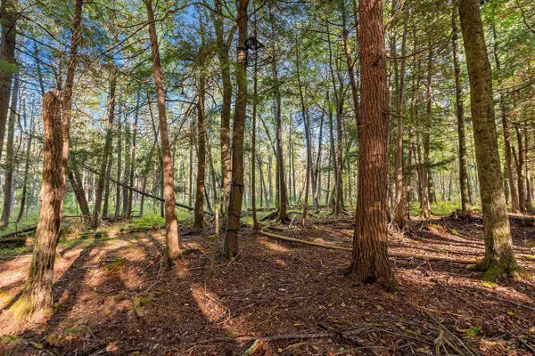 $599,900 | 3597 North Cty Road, Tigerton, WI 54486