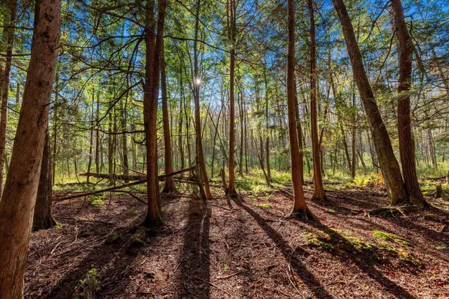 $629,900 | 3597 North Cty Road, Tigerton, WI 54486