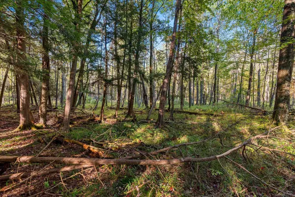 $599,900 | 3597 North Cty Road, Tigerton, WI 54486