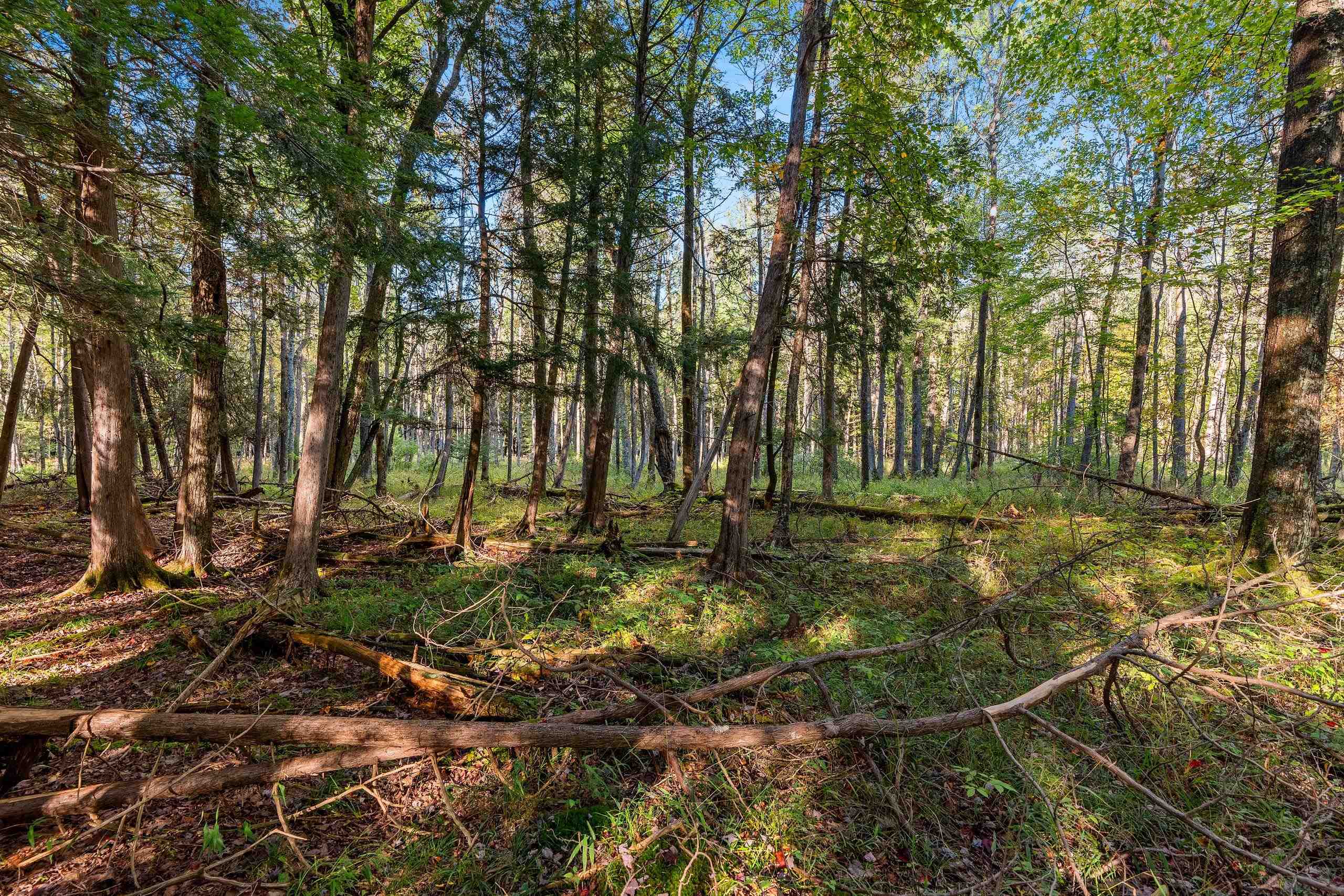 3597 North Cty Road Tigerton, WI 54486 - Photo 78 of 89