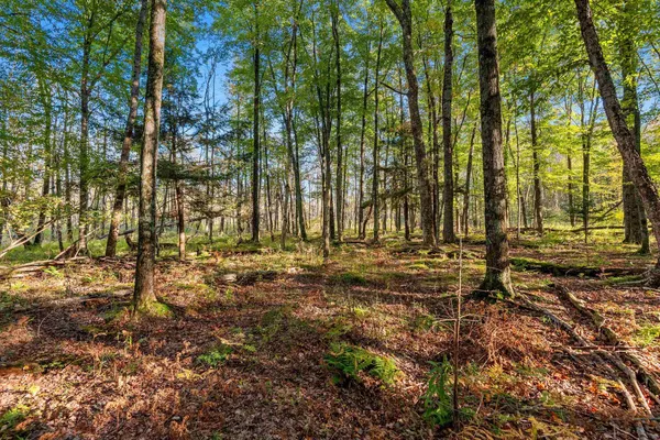 $599,900 | 3597 North Cty Road, Tigerton, WI 54486