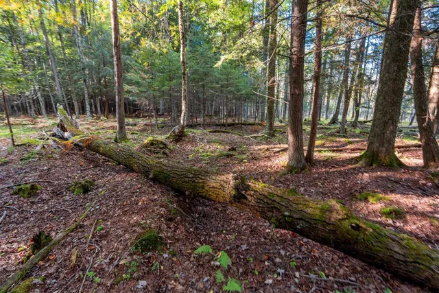 $629,900 | 3597 North Cty Road, Tigerton, WI 54486