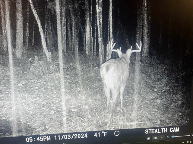 $629,900 | 3597 North Cty Road, Tigerton, WI 54486