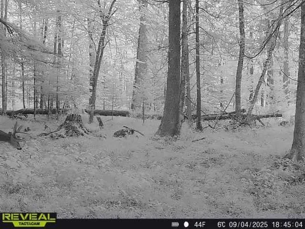 $599,900 | 3597 North Cty Road, Tigerton, WI 54486