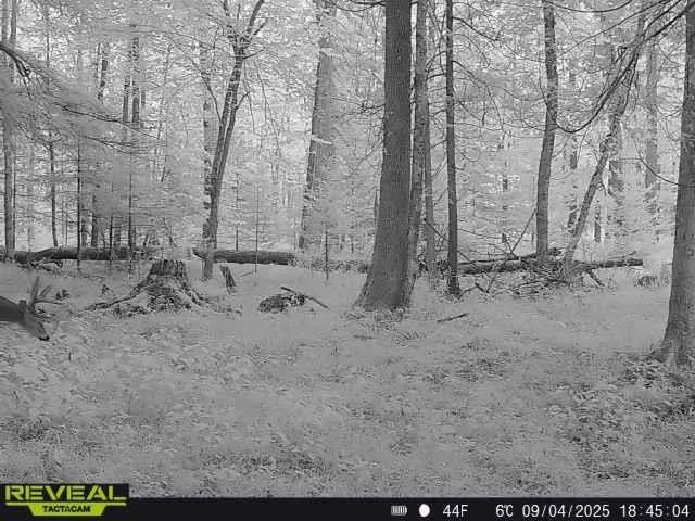 $629,900 | 3597 North Cty Road, Tigerton, WI 54486