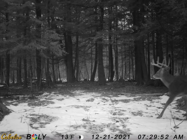 $629,900 | 3597 North Cty Road, Tigerton, WI 54486