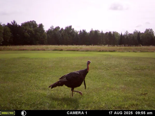 $599,900 | 3597 North Cty Road, Tigerton, WI 54486