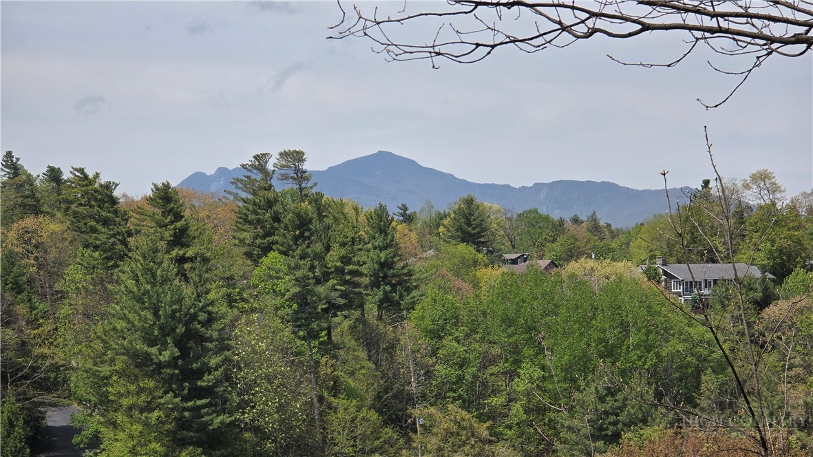 656 Goforth Road Blowing Rock, NC 28605 - Photo 9 of 36 a view of a city with a mountain