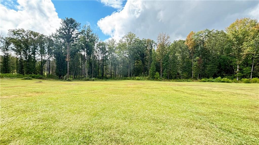 0 Old Conyers Road Stockbridge, GA 30281 - Photo 1 of 8 Gallery Image 1
