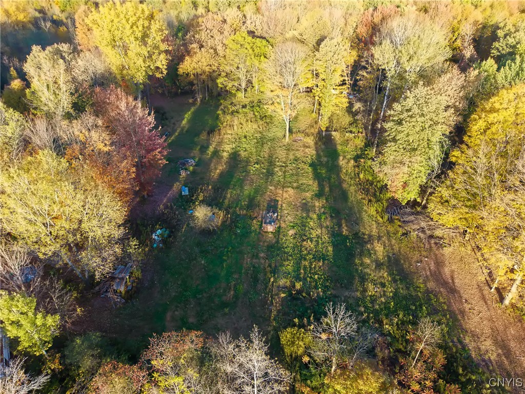 252 Paddy Lake Road Scriba, NY 13126 - Photo 3 of 9