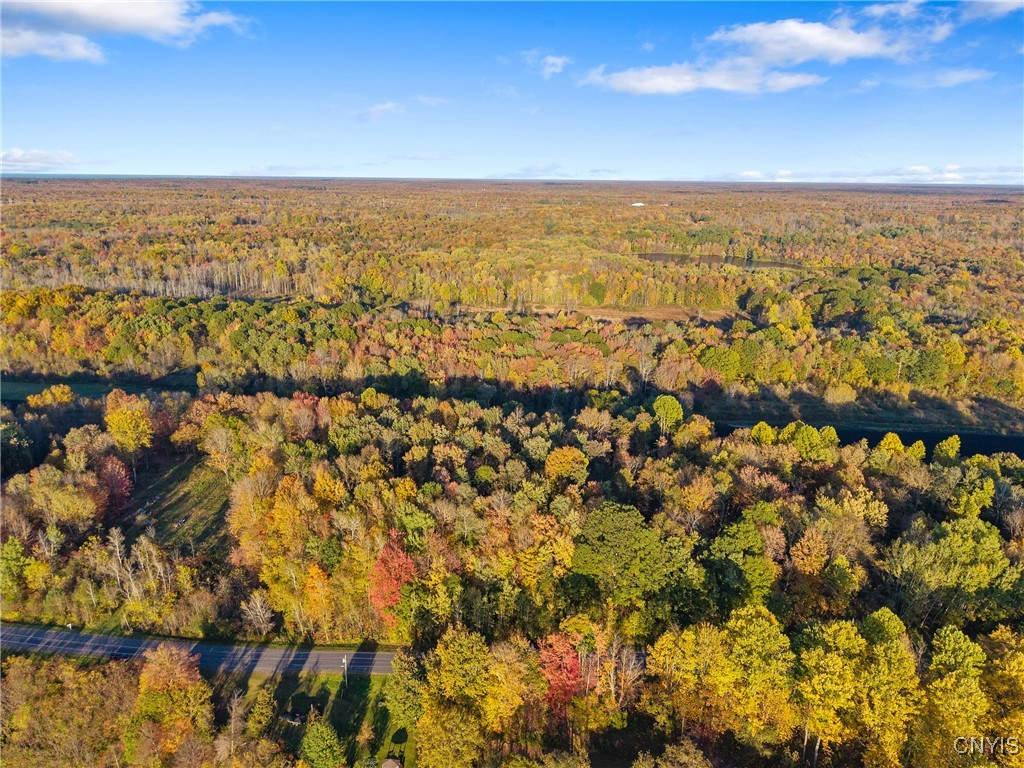 252 Paddy Lake Road Scriba, NY 13126 - Photo 4 of 9