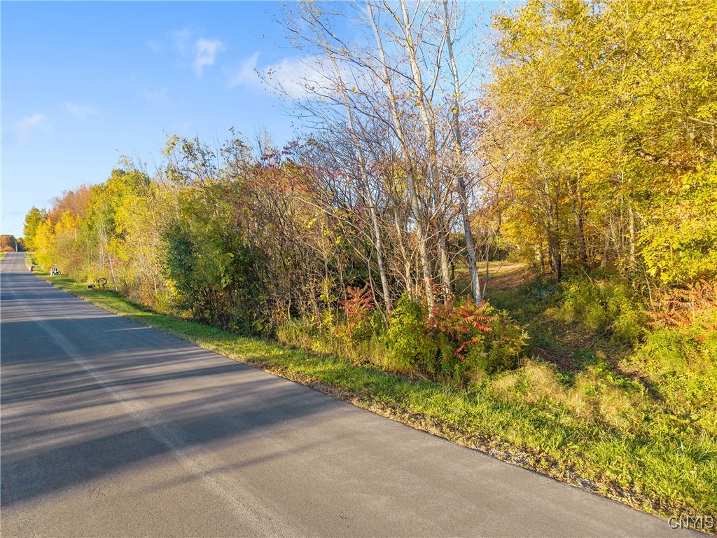 252 Paddy Lake Road Scriba, NY 13126 - Photo 8 of 9