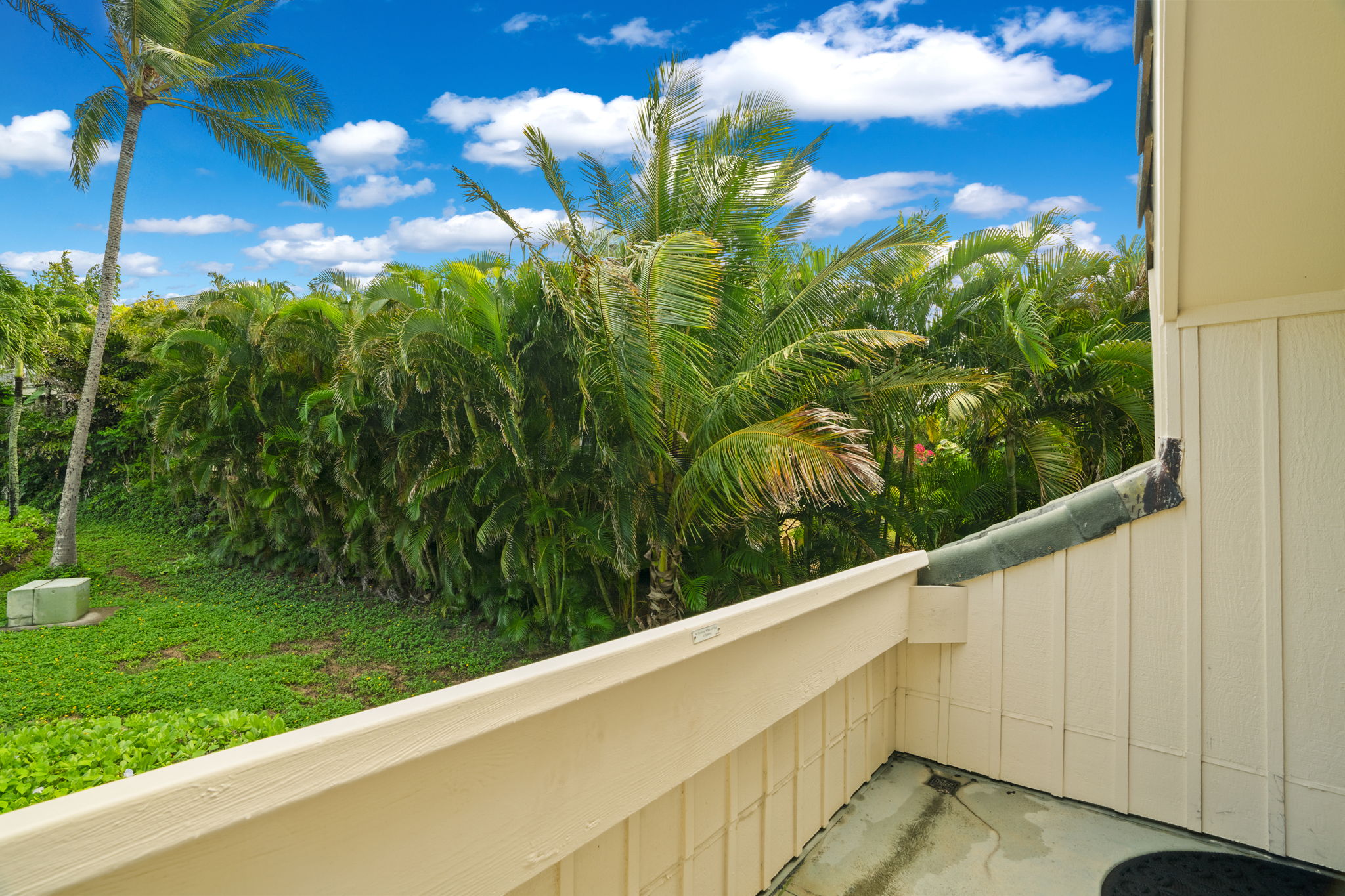 2371 Ho'ohu Road, Unit 1101 Koloa, HI 96756 - Photo 20 of 20 Gallery Image 20