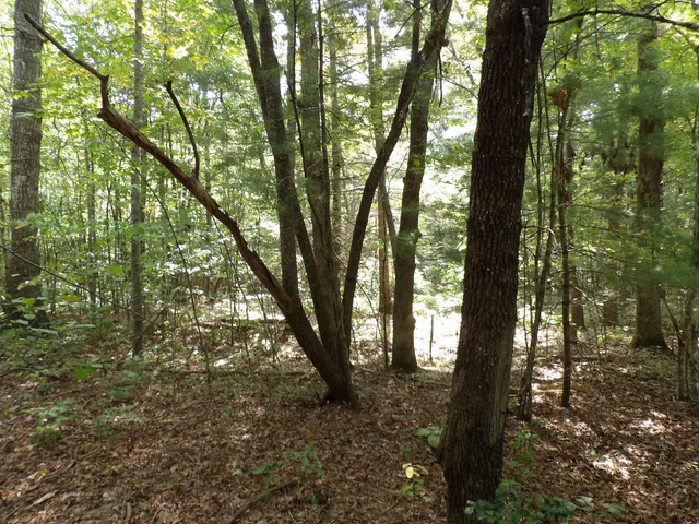 $109,000 | 243 Mountain View Drive, Unit 20/19, Deer Lodge, TN 37726