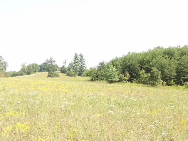 $109,000 | 243 Mountain View Drive, Unit 20/19, Deer Lodge, TN 37726