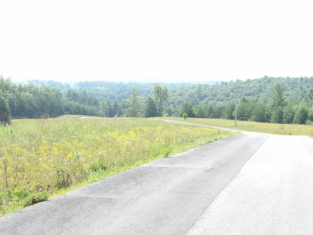 $109,000 | 243 Mountain View Drive, Unit 20/19, Deer Lodge, TN 37726