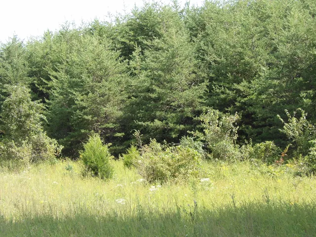 $109,000 | 243 Mountain View Drive, Unit 20/19, Deer Lodge, TN 37726